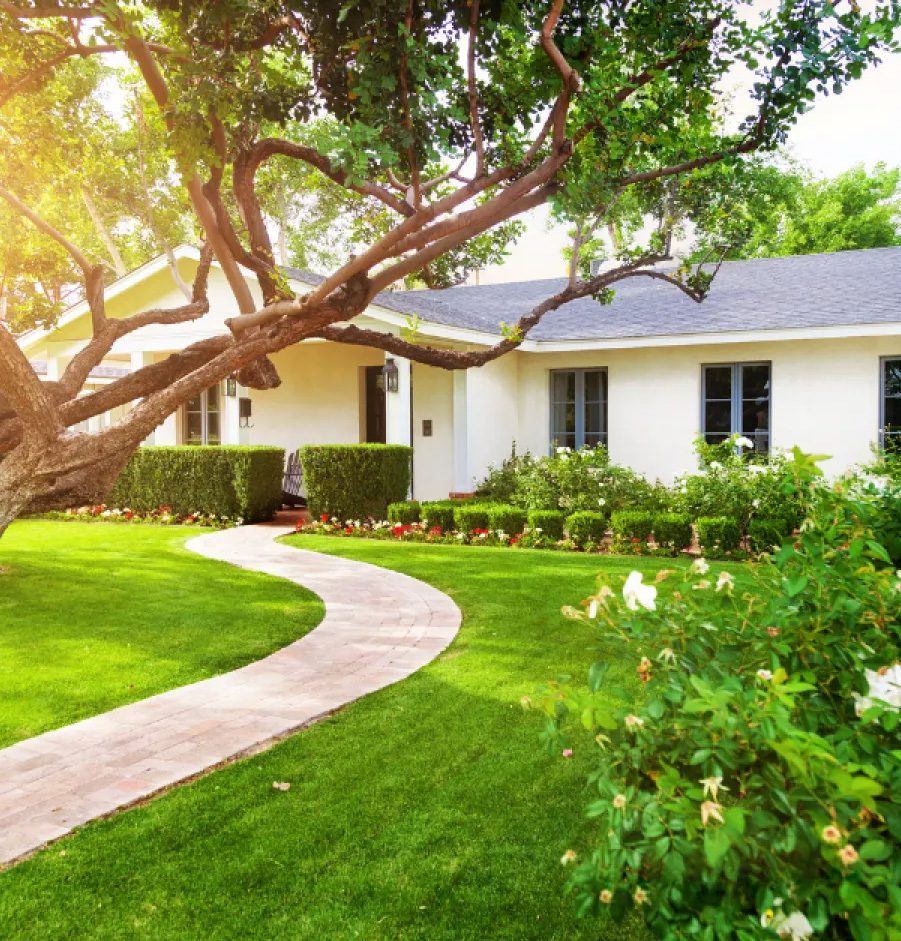 Ohio Summers Are Unpredictable. Your Landscaping Should Not Be.